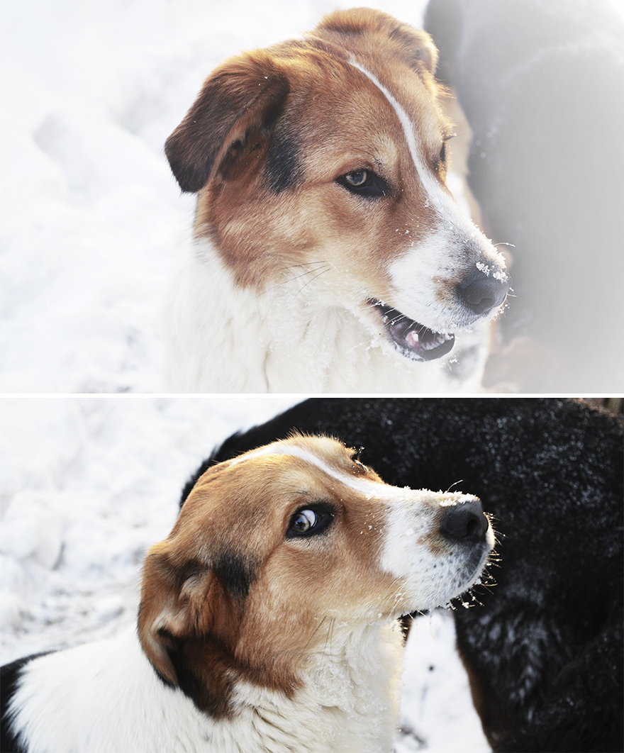 Expectations Vs. Reality: How You Imagine Your Photos To Look Like Versus How You Actually Look Expectations Vs. Reality: How You Imagine Your Photos To Look Like Versus How You Actually Look