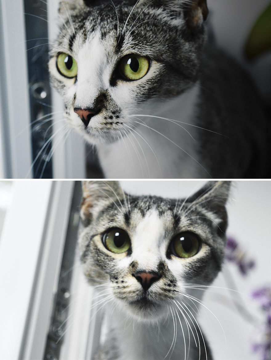 Expectations Vs. Reality: How You Imagine Your Photos To Look Like Versus How You Actually Look Expectations Vs. Reality: How You Imagine Your Photos To Look Like Versus How You Actually Look