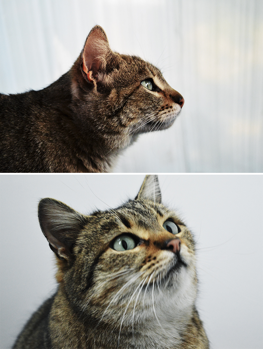 Expectations Vs. Reality: How You Imagine Your Photos To Look Like Versus How You Actually Look Expectations Vs. Reality: How You Imagine Your Photos To Look Like Versus How You Actually Look