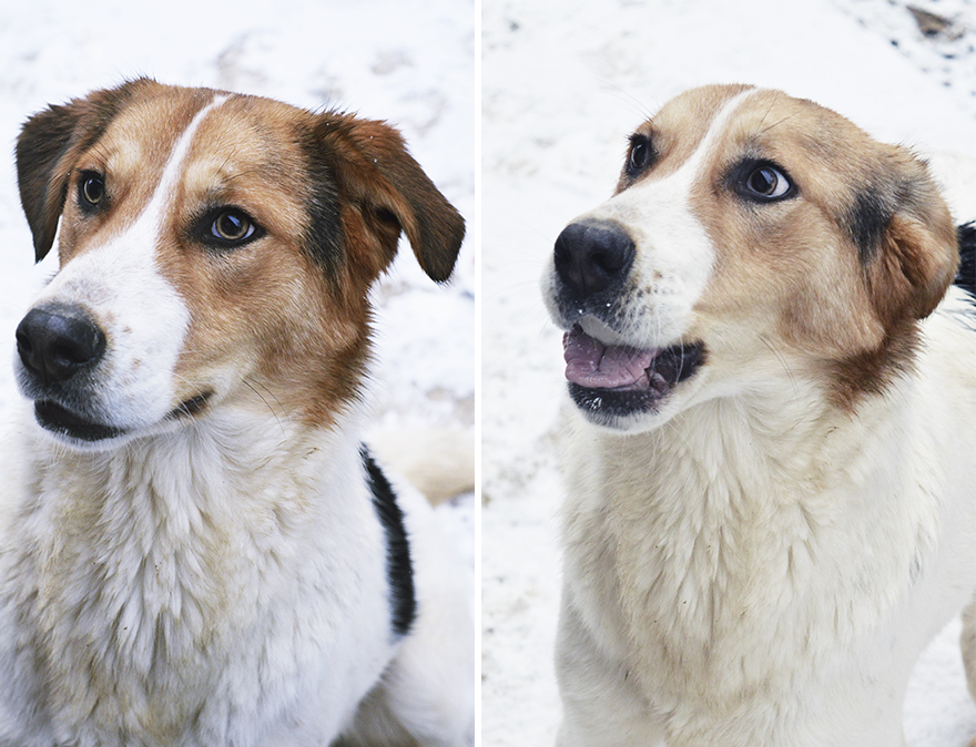 Expectations Vs. Reality: How You Imagine Your Photos To Look Like Versus How You Actually Look Expectations Vs. Reality: How You Imagine Your Photos To Look Like Versus How You Actually Look