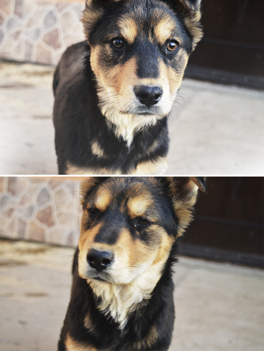 Expectations Vs. Reality: How You Imagine Your Photos To Look Like Versus How You Actually Look Expectations Vs. Reality: How You Imagine Your Photos To Look Like Versus How You Actually Look