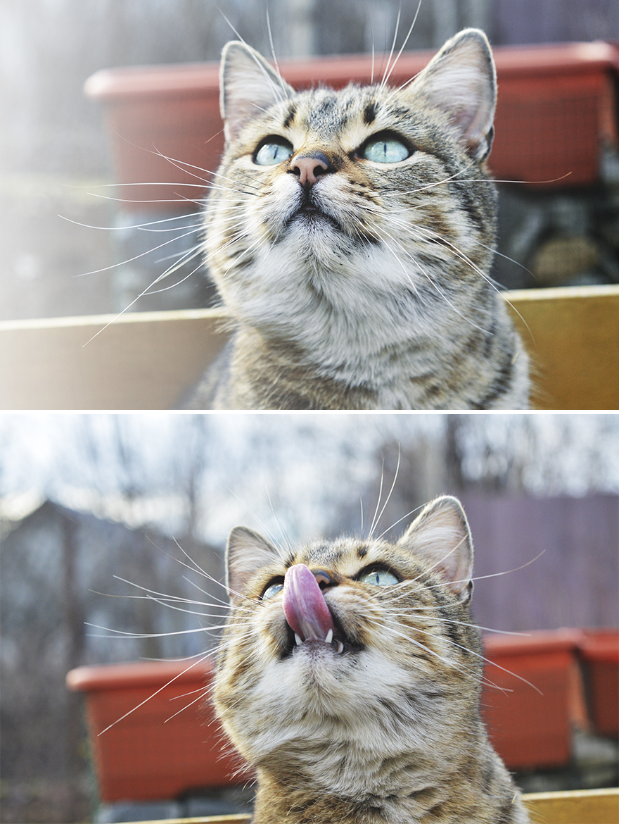 Expectations Vs. Reality: How You Imagine Your Photos To Look Like Versus How You Actually Look Expectations Vs. Reality: How You Imagine Your Photos To Look Like Versus How You Actually Look