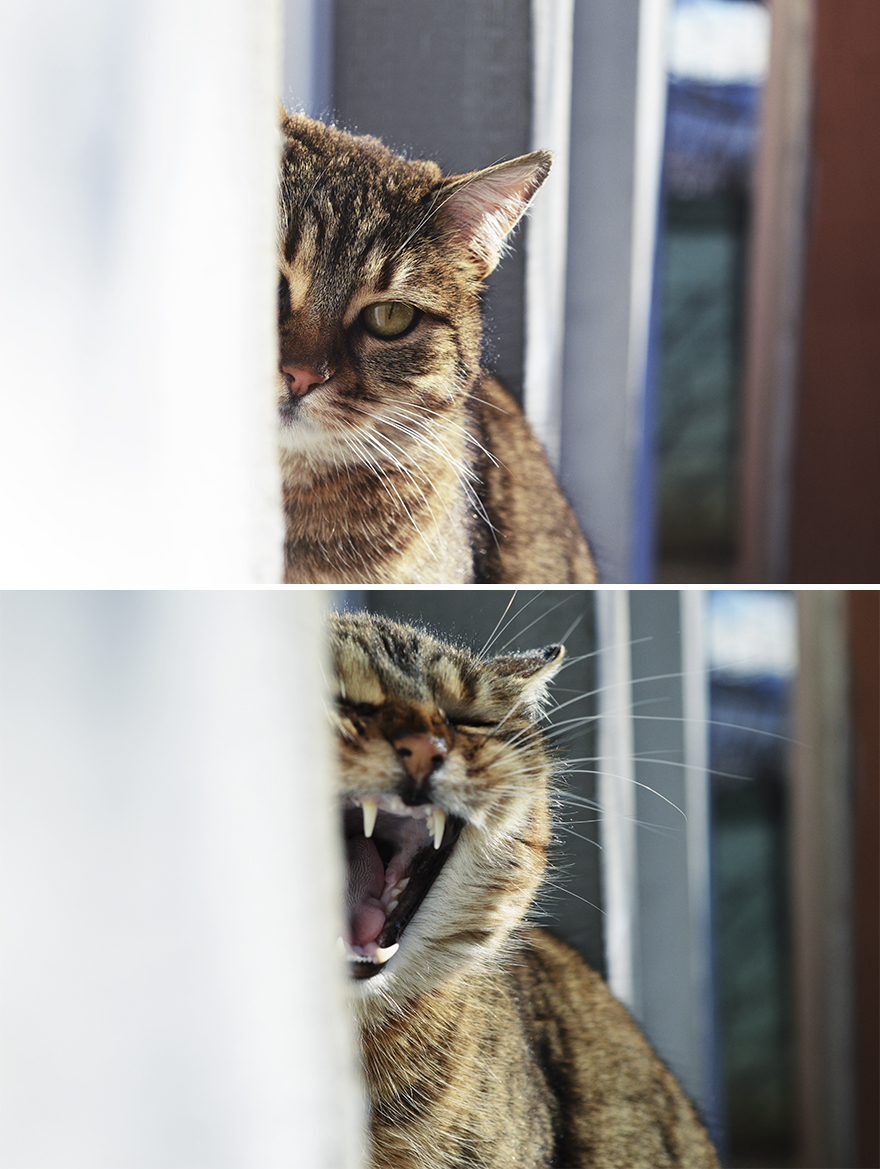 Expectations Vs. Reality: How You Imagine Your Photos To Look Like Versus How You Actually Look Expectations Vs. Reality: How You Imagine Your Photos To Look Like Versus How You Actually Look