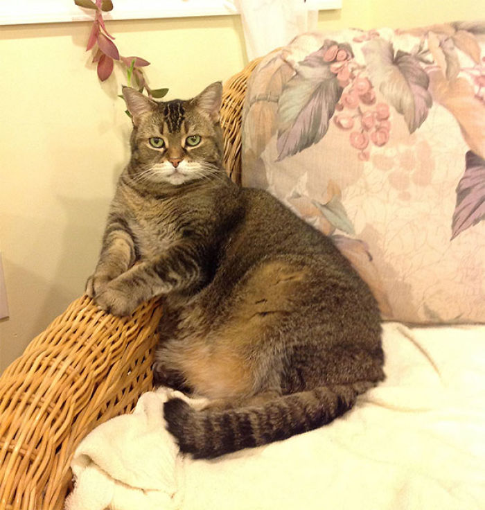 92 Times Moms Made Us Laugh By Doing The Mommiest Things Ever 92 Times Moms Made Us Laugh By Doing The Mommiest Things Ever