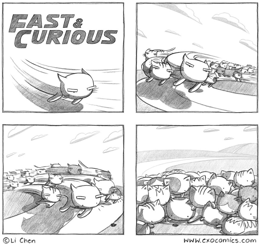 My Silly Cat Inspired Me To Start Doing Comics As A Hobby, And Now It’s My Full-Time Job My Silly Cat Inspired Me To Start Doing Comics As A Hobby, And Now It’s My Full-Time Job