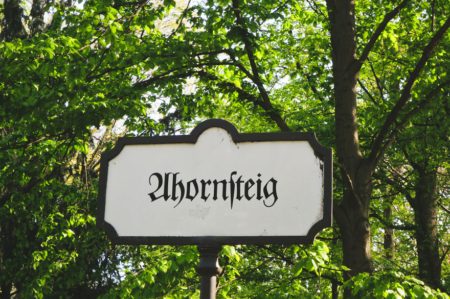 Berlin Through My Eyes