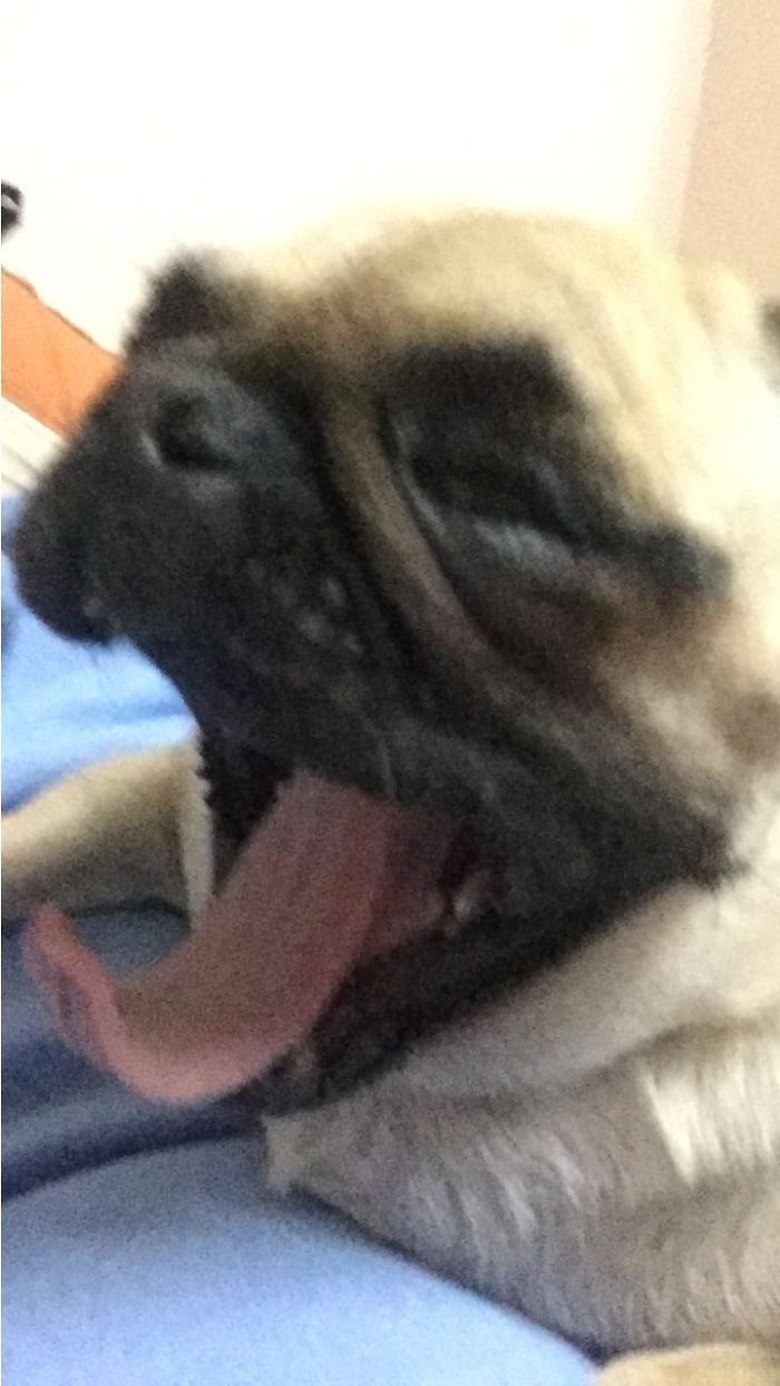 Dad Of 4 Girls Tweets Conversations With His Daughters, And It’s Impossible Not To Laugh At Them Dad Of 4 Girls Tweets Conversations With His Daughters, And It’s Impossible Not To Laugh At Them