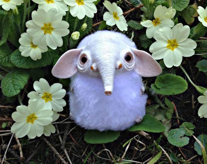 An Enchanted World Full Of Magical Creatures An Enchanted World Full Of Magical Creatures