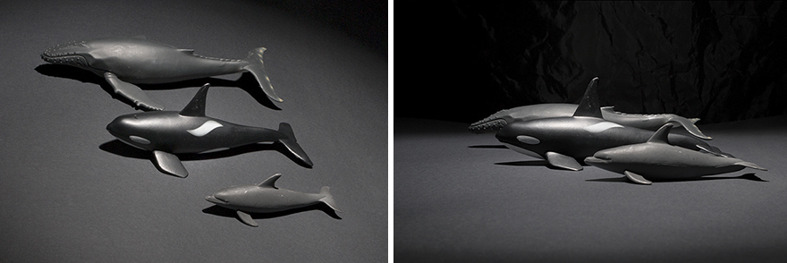 I Created Wildlife Photography In My Room!