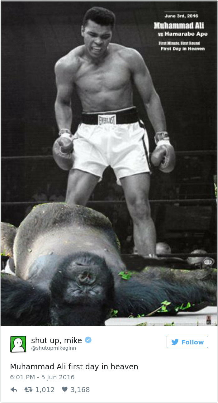 186 Reasons Why Shut Up