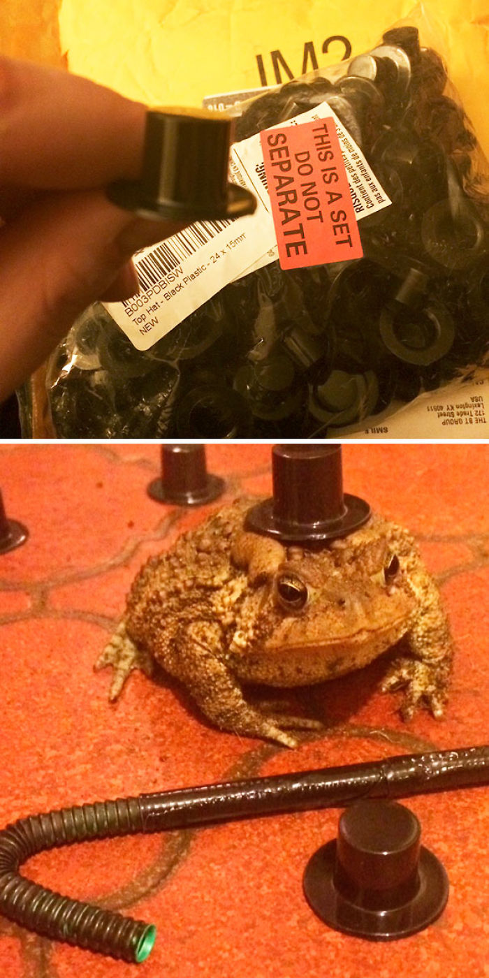 90 Times People Shopped Online While Drunk And Regretted It Deeply
