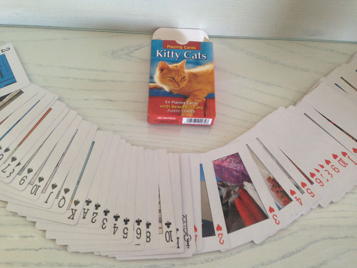 90 Times People Shopped Online While Drunk And Regretted It Deeply