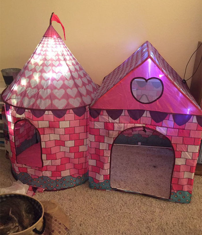 90 Times People Shopped Online While Drunk And Regretted It Deeply