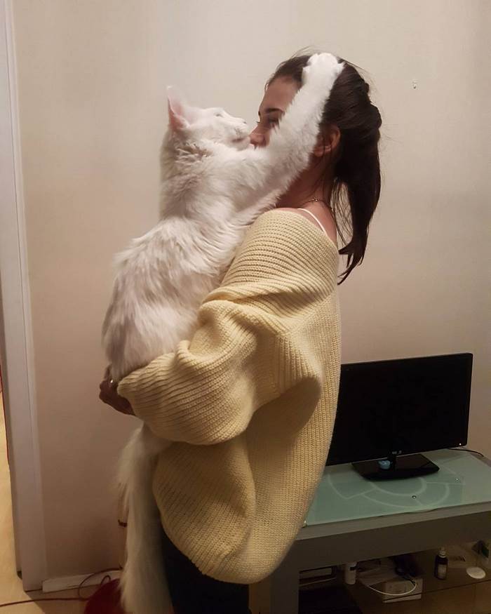 Kitty Grows Up Hugging His Human Every Day, Won’t Stop Even After Becoming A GIANT Kitty Grows Up Hugging His Human Every Day, Won’t Stop Even After Becoming A GIANT