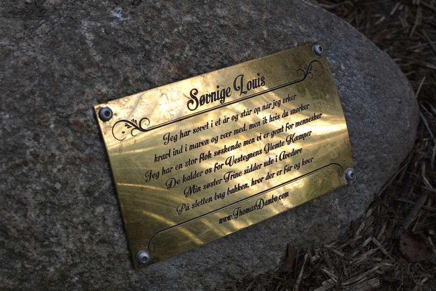 I Hide Giants That I Make From Wood In The Wilderness Of Copenhagen