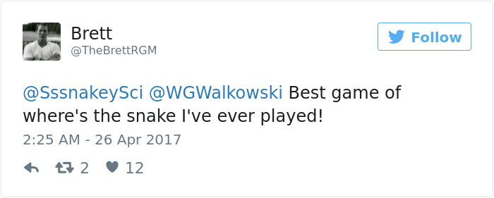 The Internet Is Going Crazy Trying To Find The Camouflaged Snake In This Picture – Can You Find It?