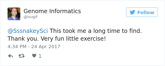 The Internet Is Going Crazy Trying To Find The Camouflaged Snake In This Picture – Can You Find It?