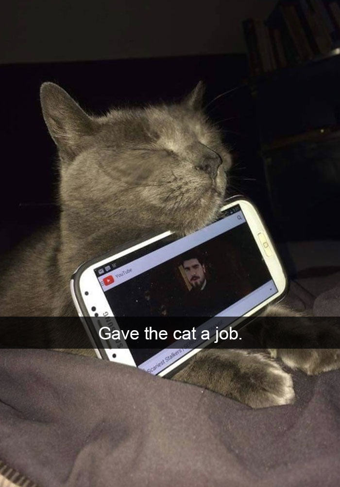 62 Hilarious Cat Snapchats That You Need To See Right Meow 62 Hilarious Cat Snapchats That You Need To See Right Meow