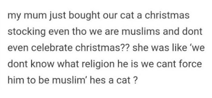 50 Moms With A Sense Of Humor