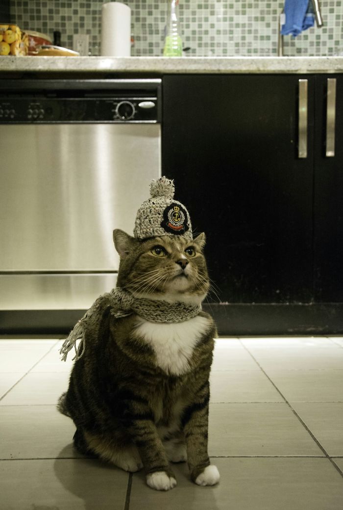 50 Moms With A Sense Of Humor