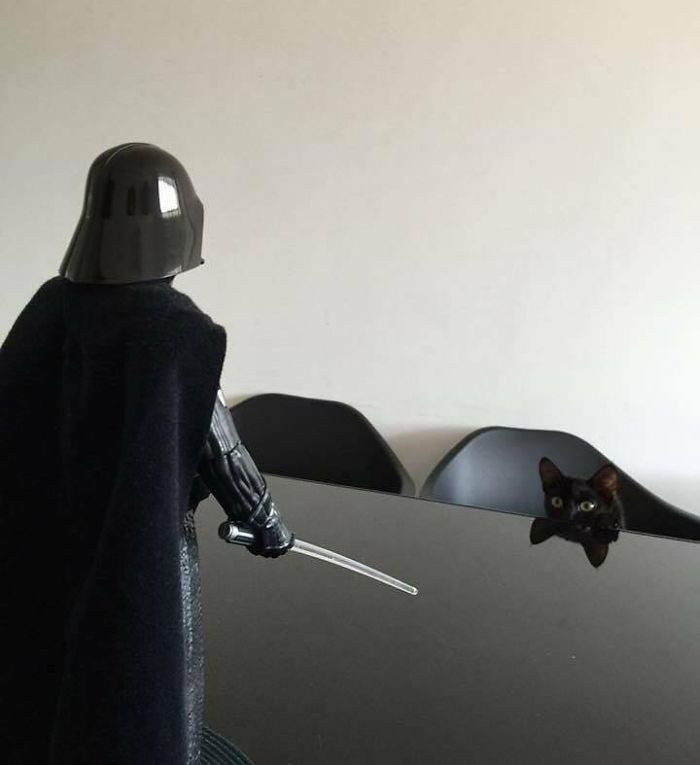 50 Moms With A Sense Of Humor