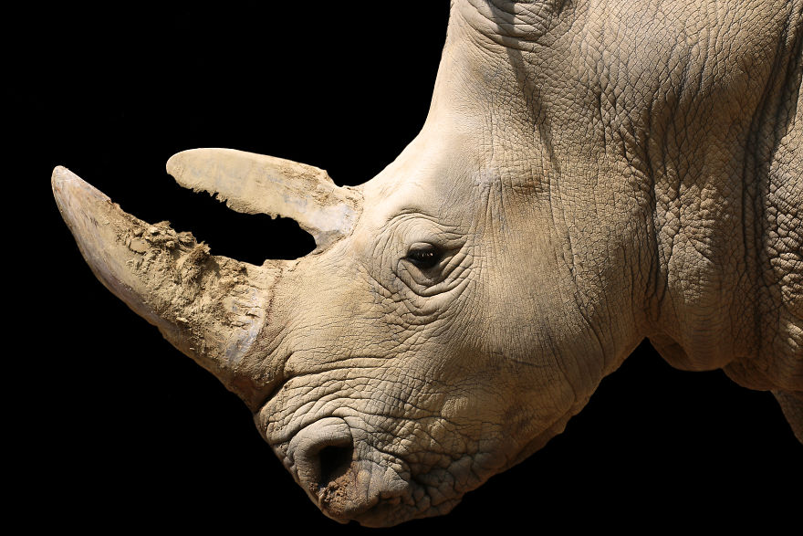 Through The Lens Of An Alabama Wildlife Photographer