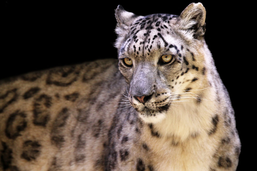 Through The Lens Of An Alabama Wildlife Photographer