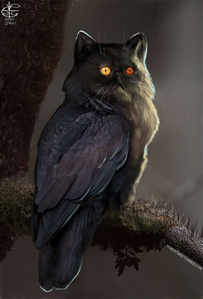 68 Unusual Cat And Bird Hybrids Bred In Photoshop (Add Yours) 68 Unusual Cat And Bird Hybrids Bred In Photoshop (Add Yours)
