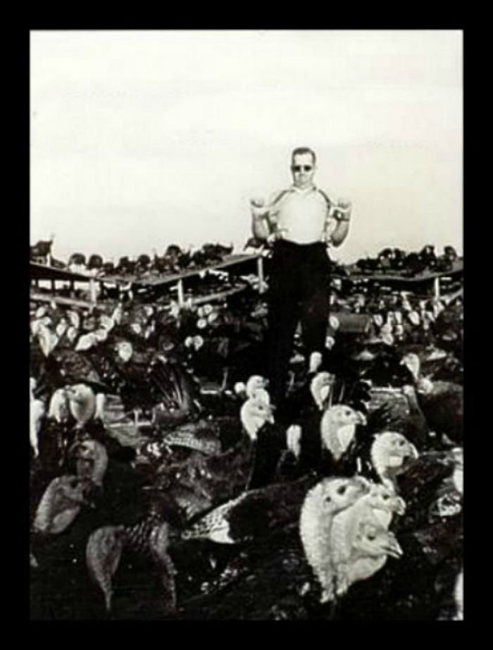 Hey Pandas, Share Vintage Photos Of Your Dads Being Cool!