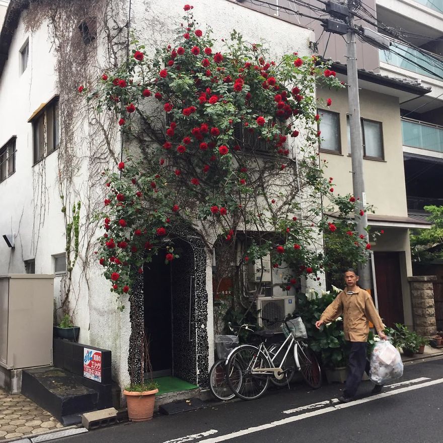 Photographer Captures Small Yet Utterly Delightful Buildings In Kyoto, Japan Photographer Captures Small Yet Utterly Delightful Buildings In Kyoto, Japan