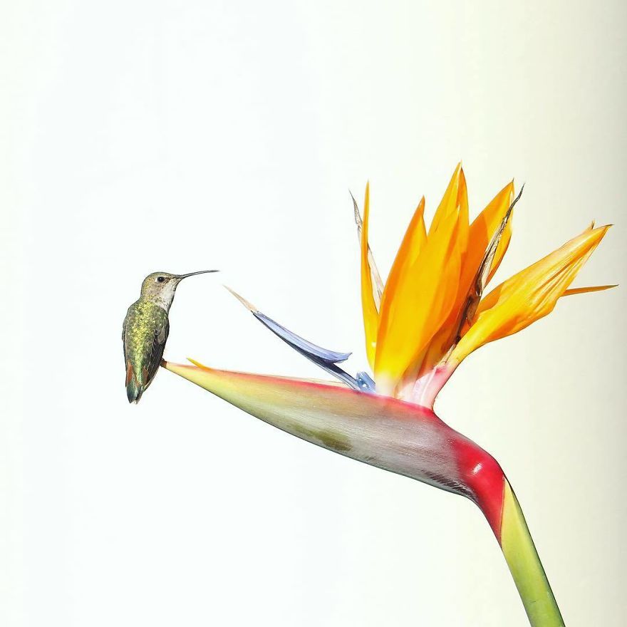 Steve Irwin’s Son Is An Award Winning Photographer And These Photos Show Why Steve Irwin’s Son Is An Award Winning Photographer And These Photos Show Why