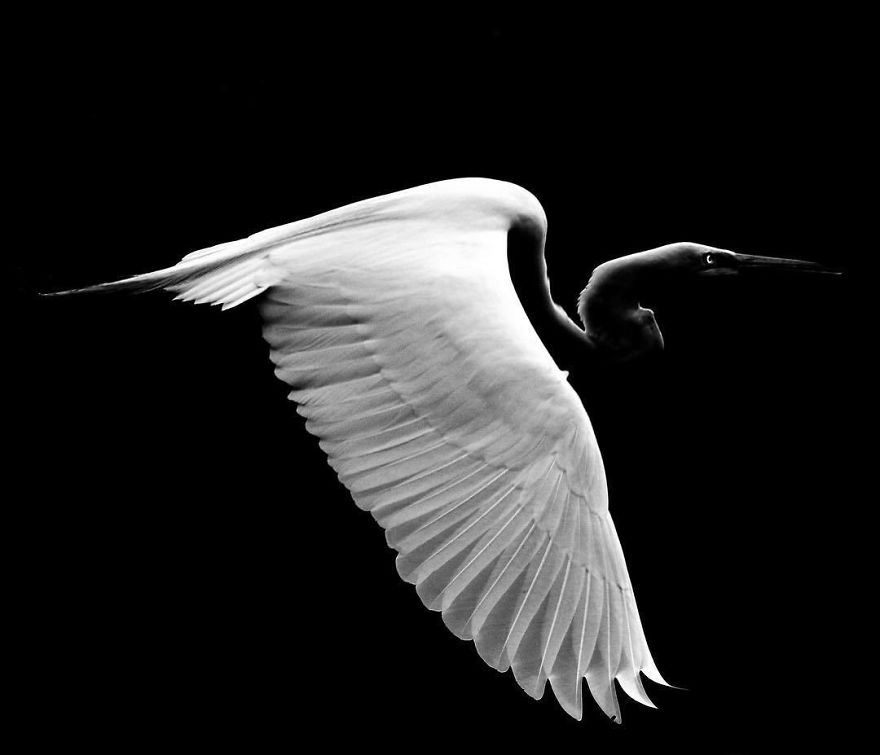 Steve Irwin’s Son Is An Award Winning Photographer And These Photos Show Why Steve Irwin’s Son Is An Award Winning Photographer And These Photos Show Why