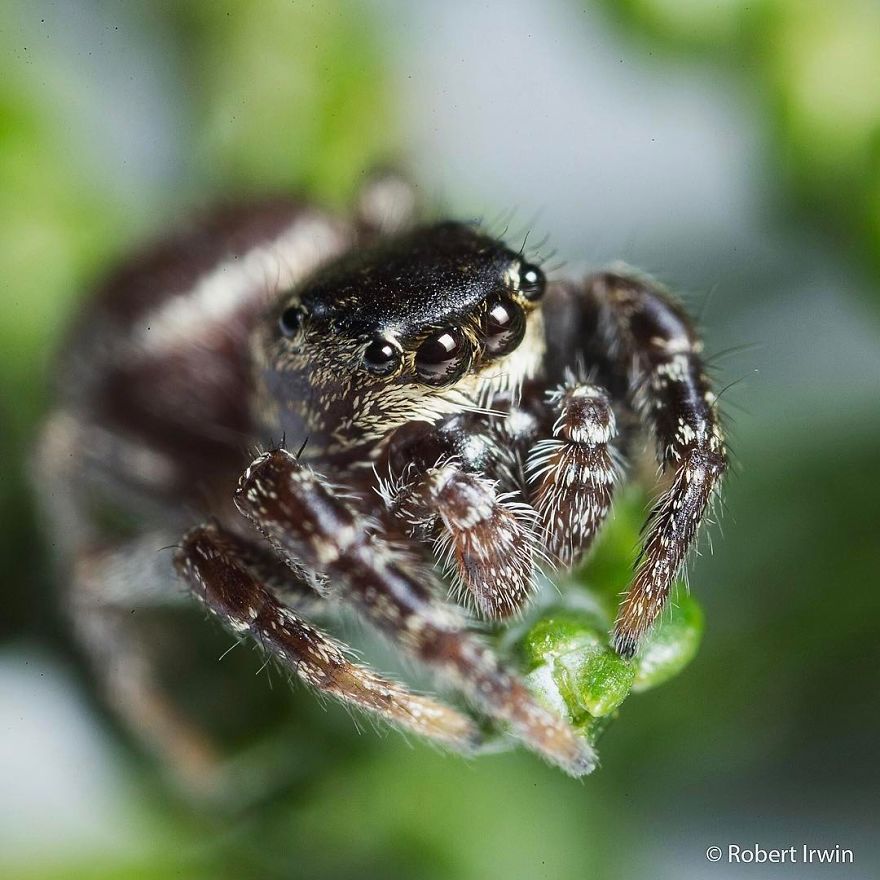Steve Irwin’s Son Is An Award Winning Photographer And These Photos Show Why Steve Irwin’s Son Is An Award Winning Photographer And These Photos Show Why