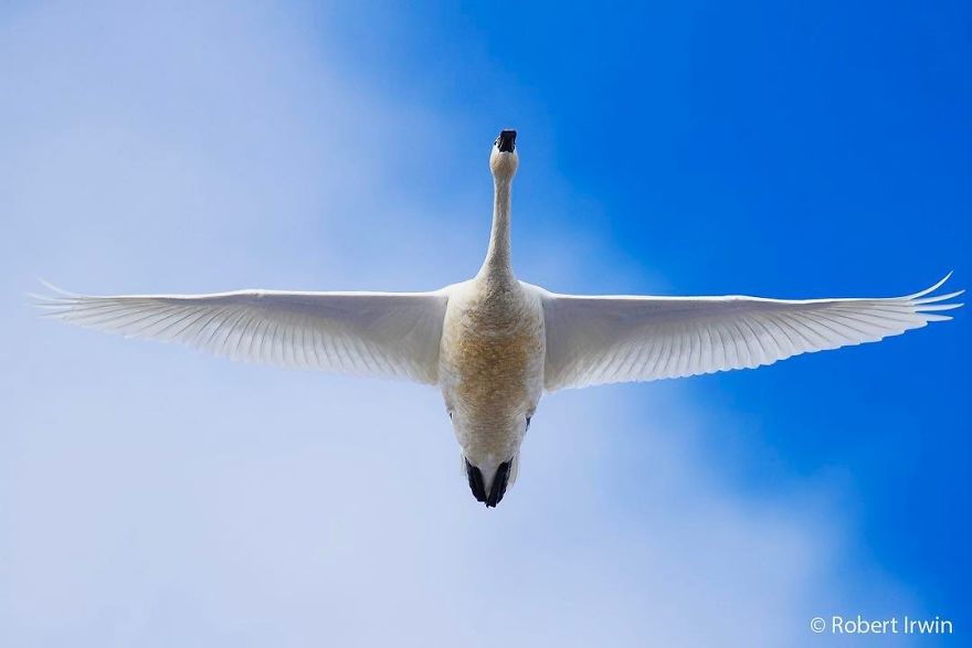 Steve Irwin’s Son Is An Award Winning Photographer And These Photos Show Why Steve Irwin’s Son Is An Award Winning Photographer And These Photos Show Why