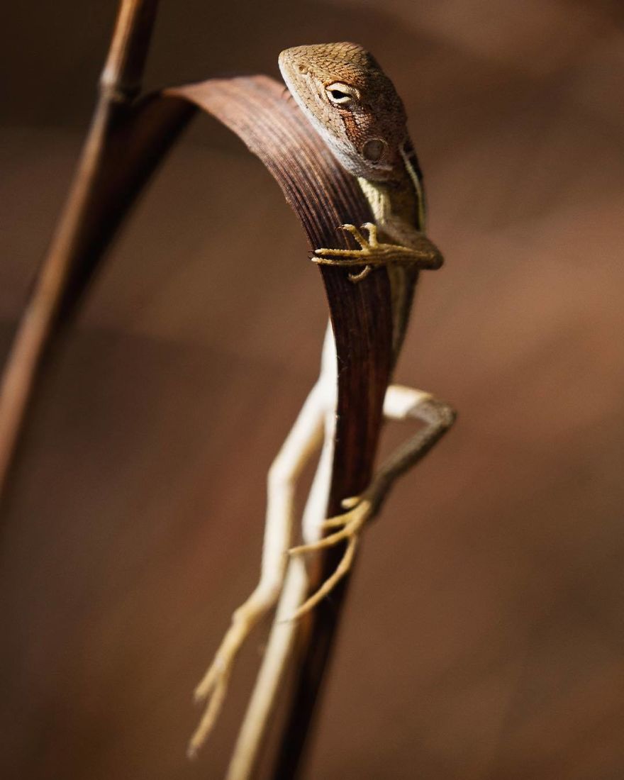 Steve Irwin’s Son Is An Award Winning Photographer And These Photos Show Why Steve Irwin’s Son Is An Award Winning Photographer And These Photos Show Why