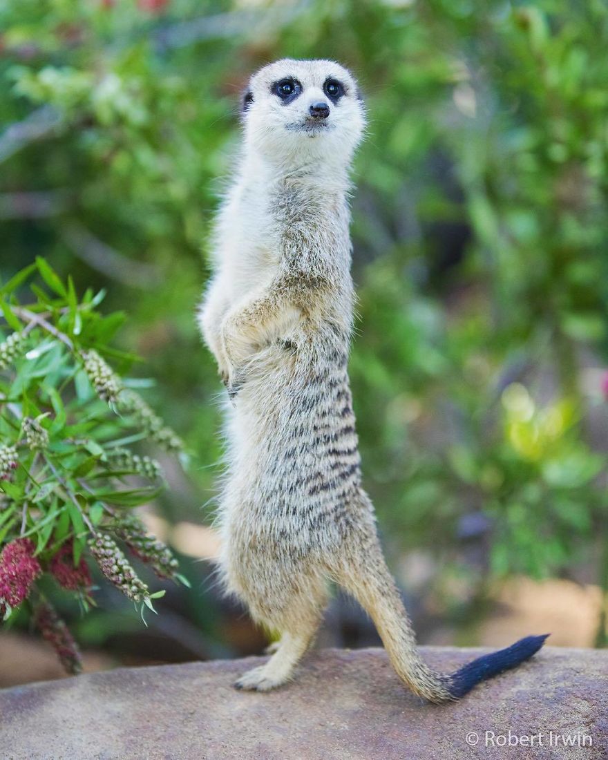 Steve Irwin’s Son Is An Award Winning Photographer And These Photos Show Why Steve Irwin’s Son Is An Award Winning Photographer And These Photos Show Why