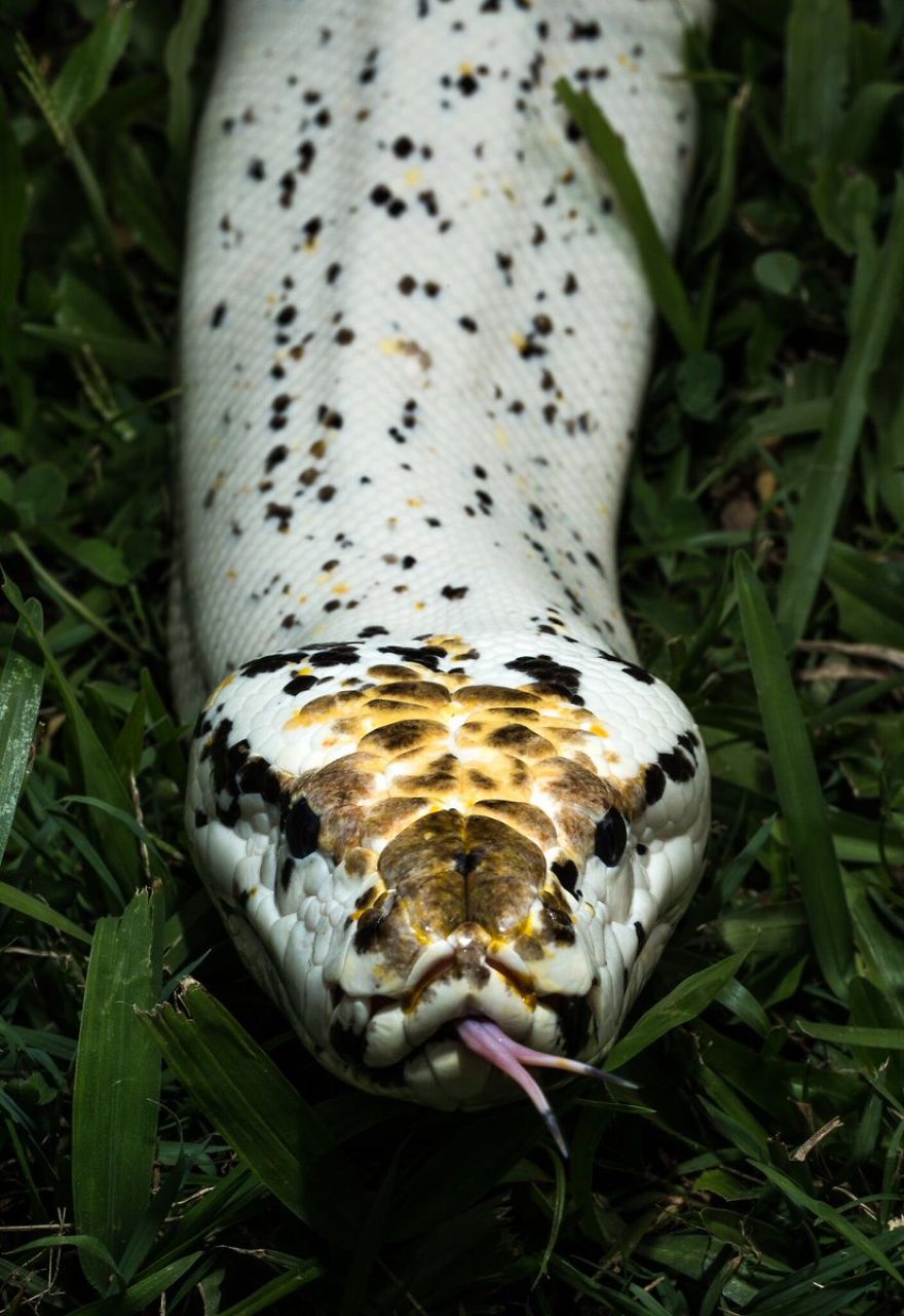 Steve Irwin’s Son Is An Award Winning Photographer And These Photos Show Why Steve Irwin’s Son Is An Award Winning Photographer And These Photos Show Why
