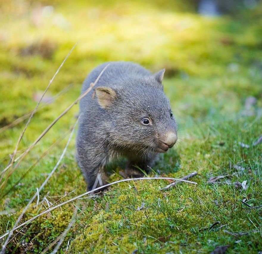 Steve Irwin’s Son Is An Award Winning Photographer And These Photos Show Why Steve Irwin’s Son Is An Award Winning Photographer And These Photos Show Why