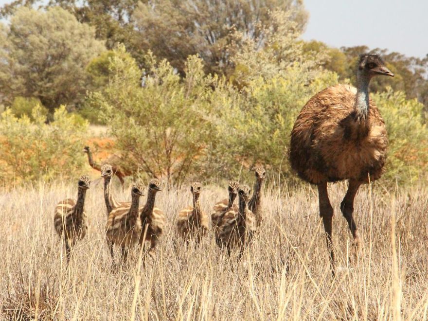 Steve Irwin’s Son Is An Award Winning Photographer And These Photos Show Why Steve Irwin’s Son Is An Award Winning Photographer And These Photos Show Why