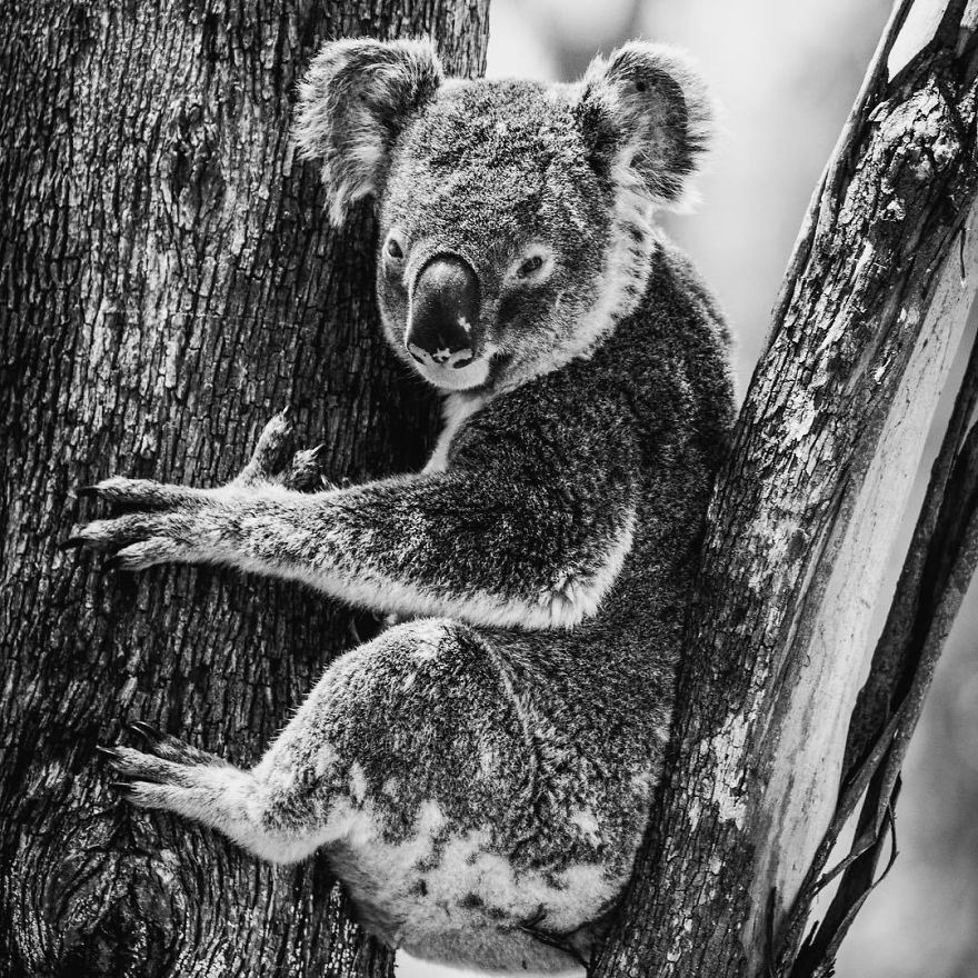 Steve Irwin’s Son Is An Award Winning Photographer And These Photos Show Why Steve Irwin’s Son Is An Award Winning Photographer And These Photos Show Why