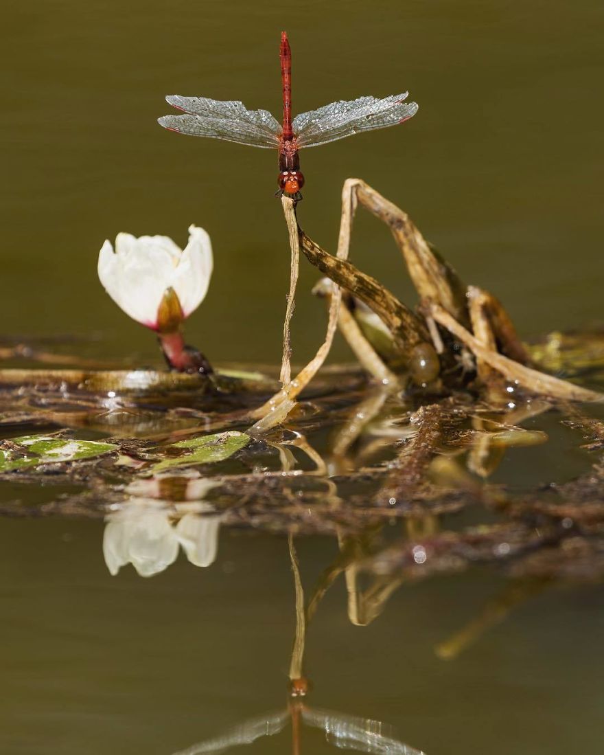 Steve Irwin’s Son Is An Award Winning Photographer And These Photos Show Why Steve Irwin’s Son Is An Award Winning Photographer And These Photos Show Why