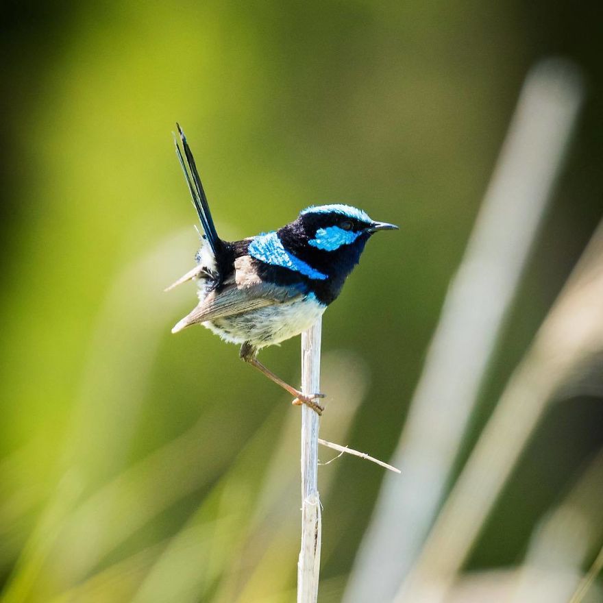 Steve Irwin’s Son Is An Award Winning Photographer And These Photos Show Why Steve Irwin’s Son Is An Award Winning Photographer And These Photos Show Why