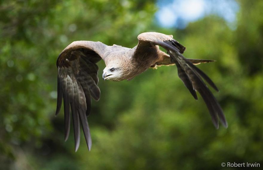Steve Irwin’s Son Is An Award Winning Photographer And These Photos Show Why Steve Irwin’s Son Is An Award Winning Photographer And These Photos Show Why