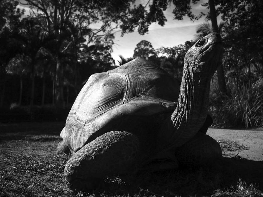 Steve Irwin’s Son Is An Award Winning Photographer And These Photos Show Why Steve Irwin’s Son Is An Award Winning Photographer And These Photos Show Why