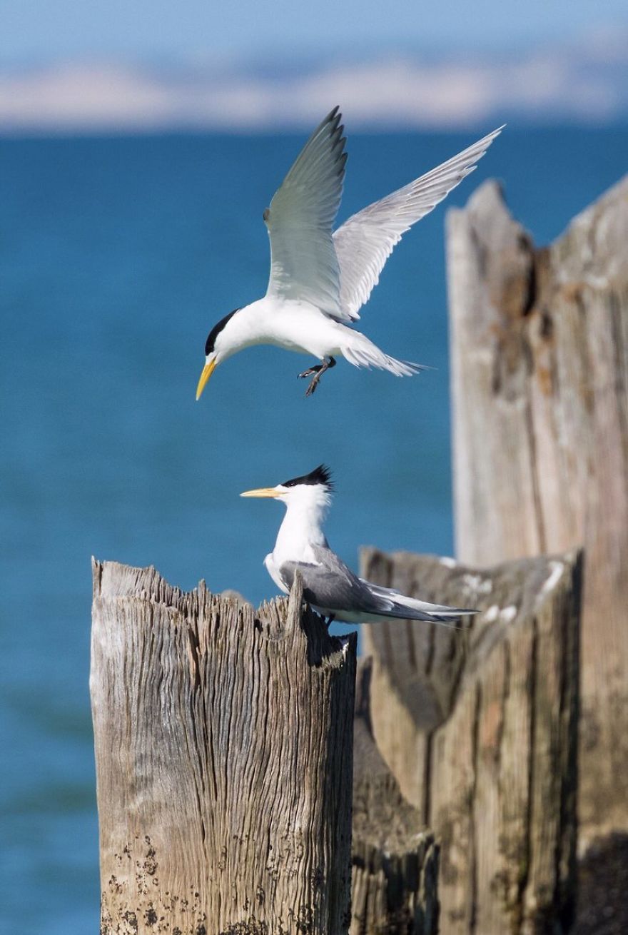 Steve Irwin’s Son Is An Award Winning Photographer And These Photos Show Why Steve Irwin’s Son Is An Award Winning Photographer And These Photos Show Why
