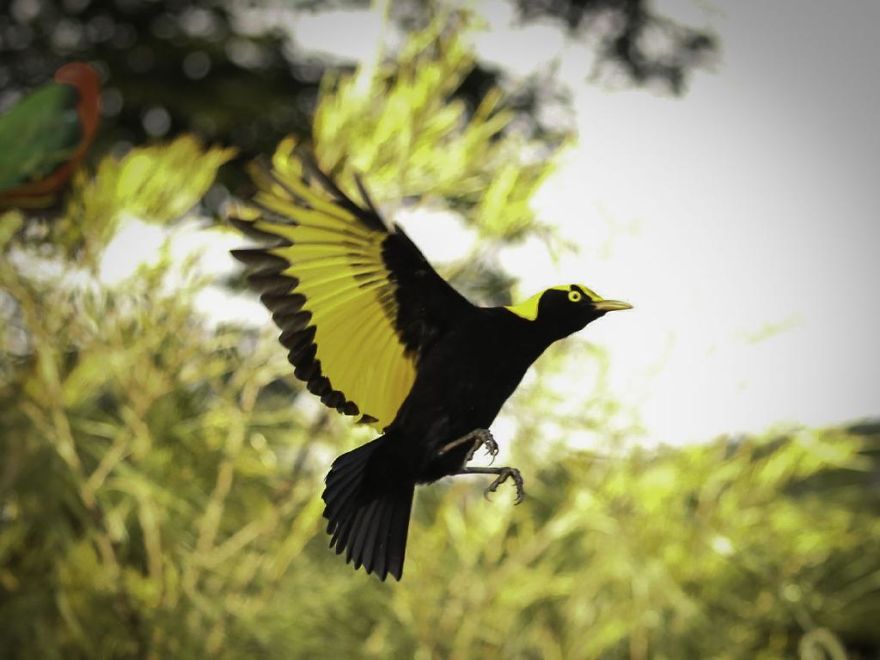 Steve Irwin’s Son Is An Award Winning Photographer And These Photos Show Why Steve Irwin’s Son Is An Award Winning Photographer And These Photos Show Why