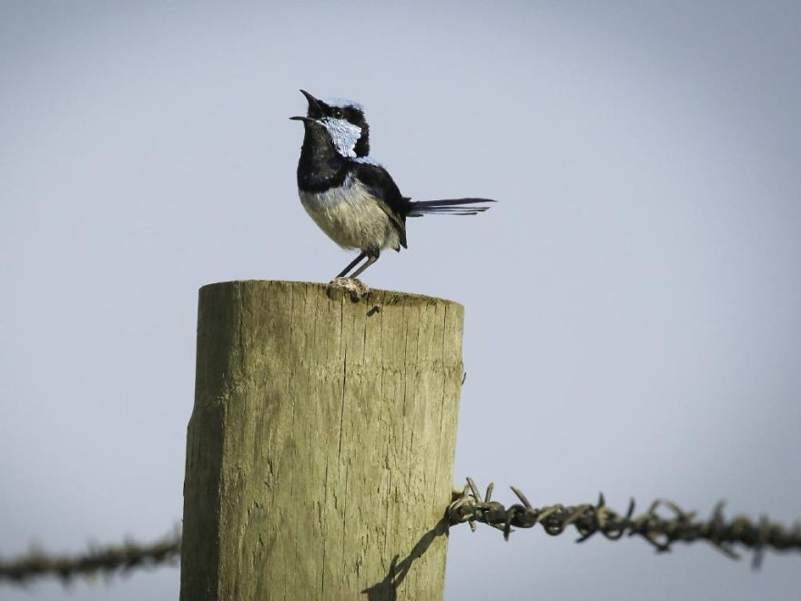 Steve Irwin’s Son Is An Award Winning Photographer And These Photos Show Why Steve Irwin’s Son Is An Award Winning Photographer And These Photos Show Why
