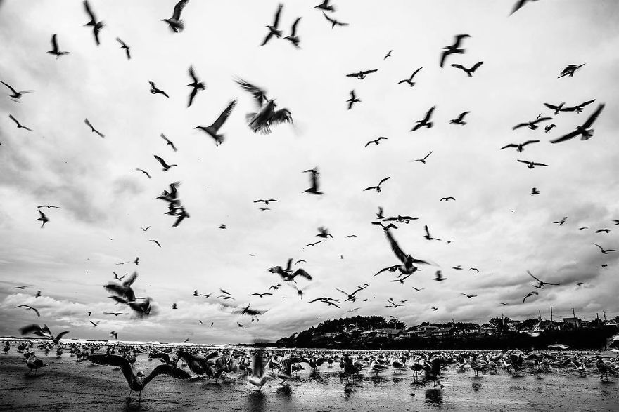 Steve Irwin’s Son Is An Award Winning Photographer And These Photos Show Why Steve Irwin’s Son Is An Award Winning Photographer And These Photos Show Why