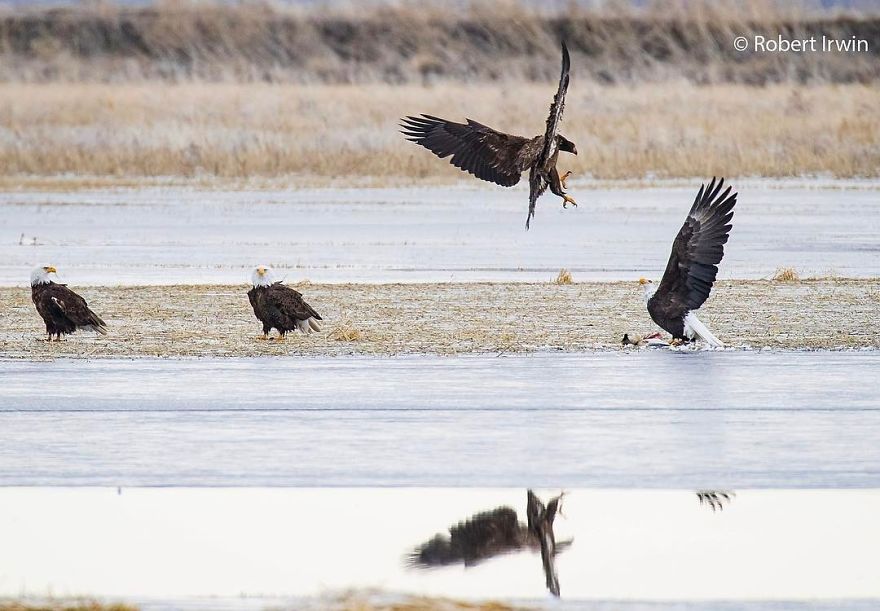 Steve Irwin’s Son Is An Award Winning Photographer And These Photos Show Why Steve Irwin’s Son Is An Award Winning Photographer And These Photos Show Why