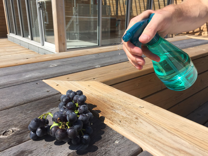 I Figured Out How To Instantly Improve Any Photo – Just Add Water! I Figured Out How To Instantly Improve Any Photo – Just Add Water!